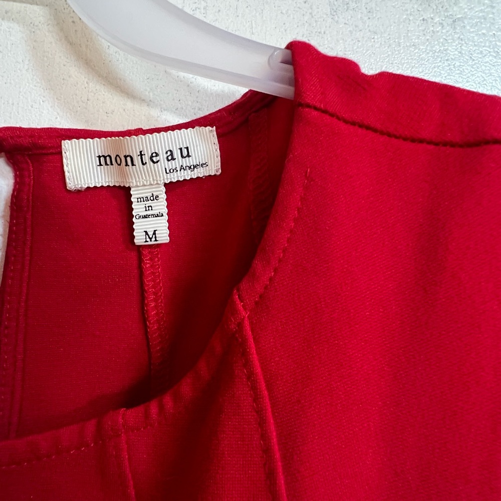 Little red fit and flare dress